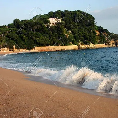 Estudio Aloe Fenals Costa Brava Vacances Lloret de Mar